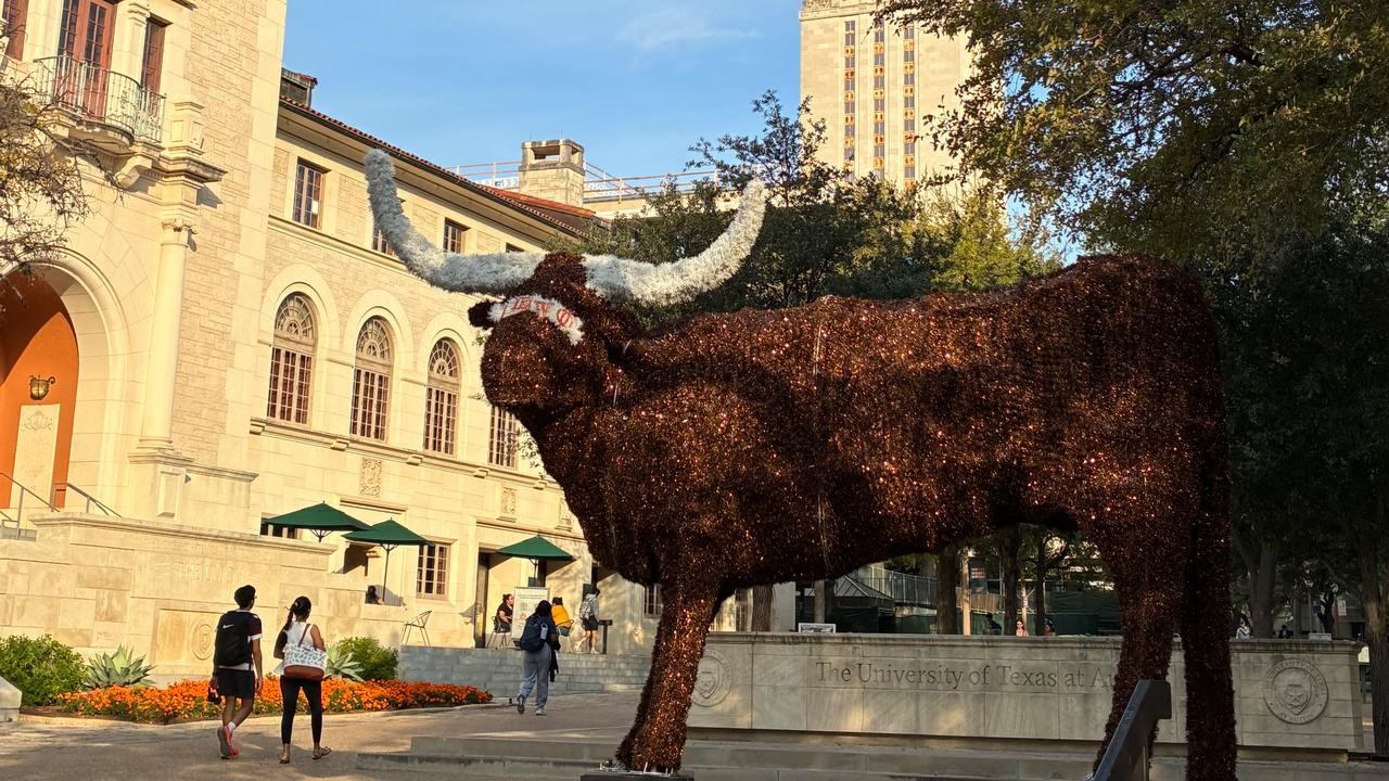 Image of University of Texas longhorn statute