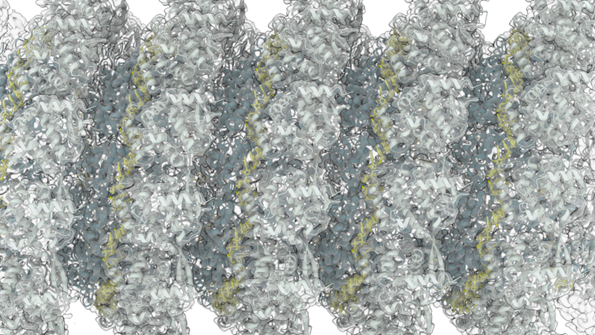 CryoEM