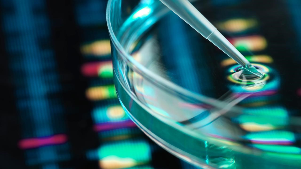 Pipette adding sample to petri dish with DNA profiles in background