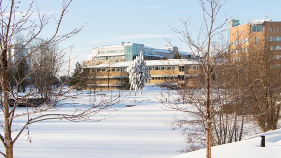 Bild på dammen vintertid