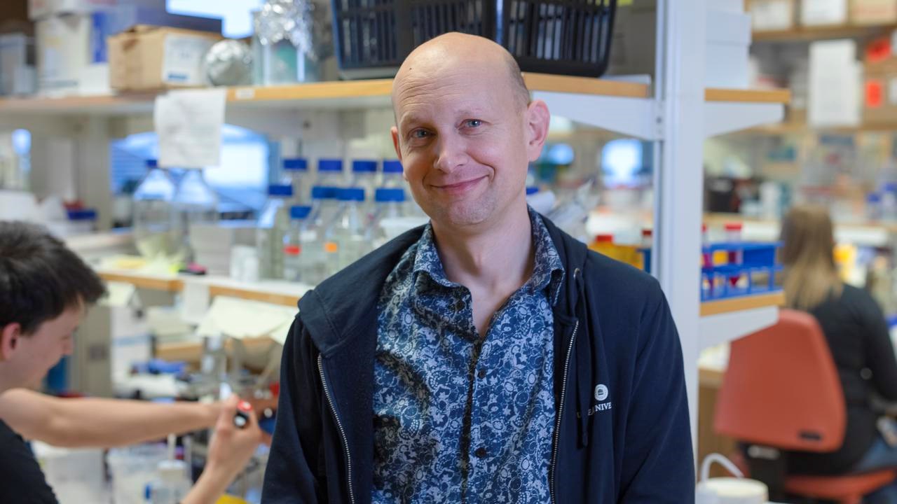 Sjoerd Wanrooij