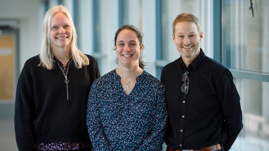 ledningsgruppen UCMR: Ingrid Söderbergh, Marta Bally och Fredrik Almqvist