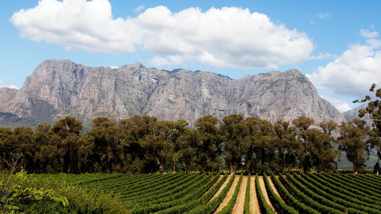 Afrikansk åker med skog och berg i bakgrunden