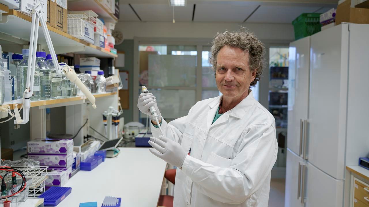 Robin F&aring;hraeusProfessor vid Institutionen f&ouml;r medicinsk biovetenskap