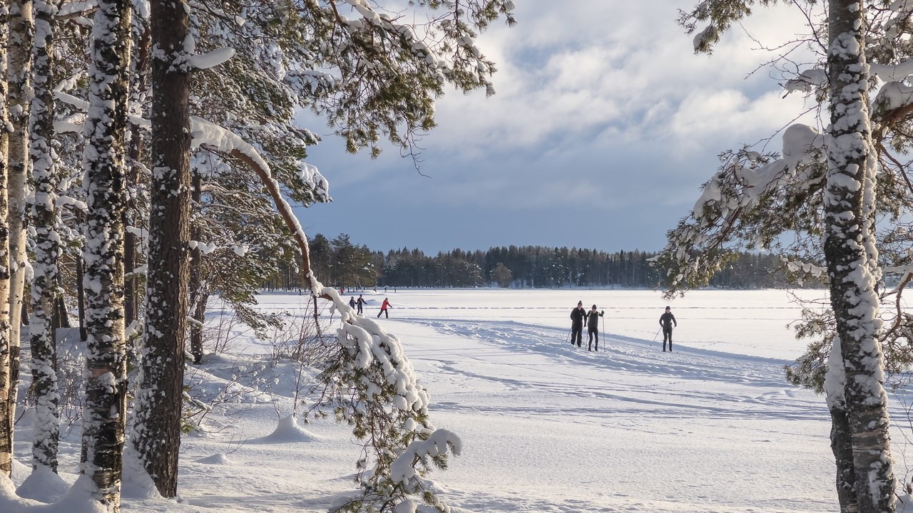 Skidåkare på Nydalasjön vintertid.