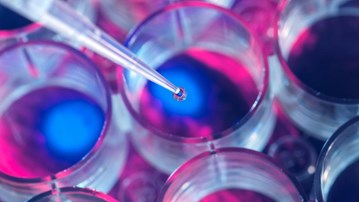 Bild på pipett som släpper droppe i provrör