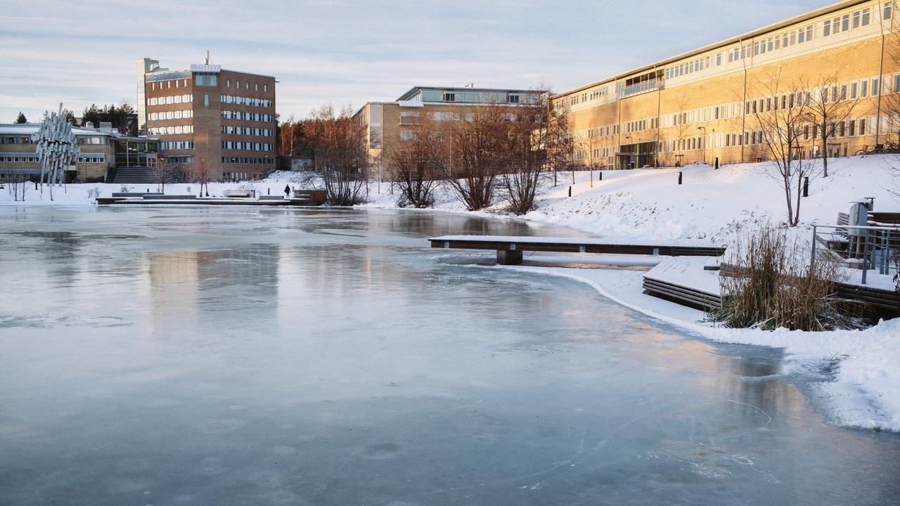Bild på dammen vinter