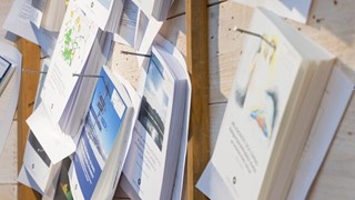 Doctoral theses posted on a notice board. 