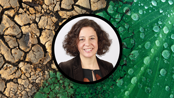 Anabela Carvalho, Humlab Talk.