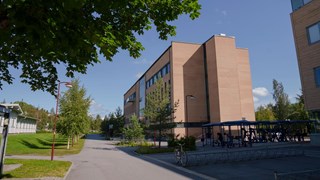 Enheten för polisiärt arbete