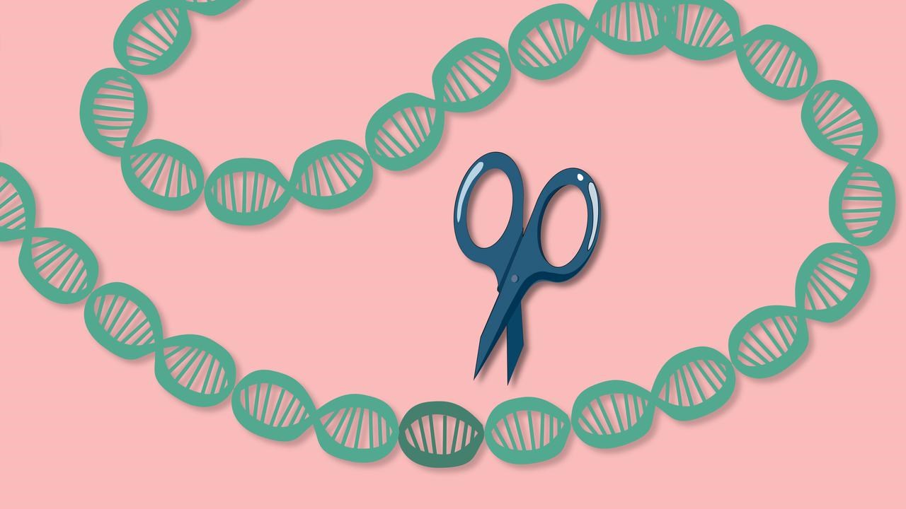 CRISPR‑Cas9 anv&auml;nder en RNA‑guide och enzymet Cas9 f&ouml;r att klippa DNA p&aring; en specifik plats.