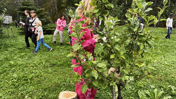 People are walking arounf on green grass. In the foreground is a  tree and a woman in pink clothes.