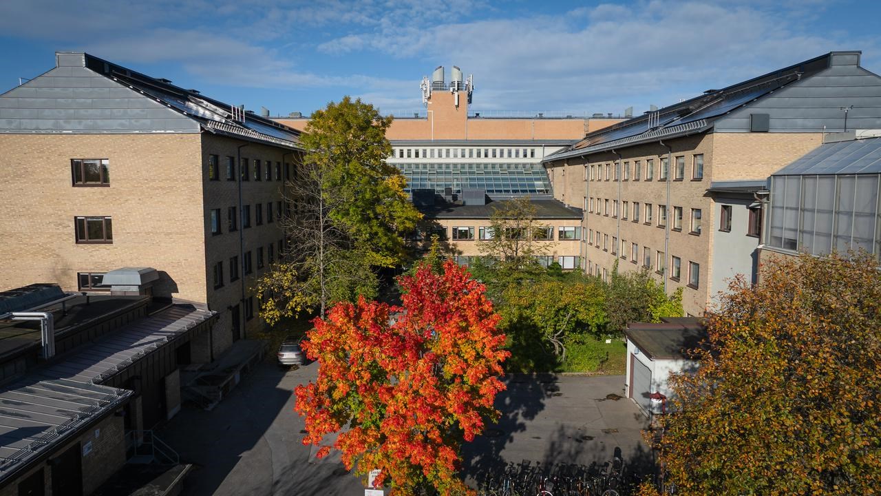 Campus i höstfärger, drönarstillbild