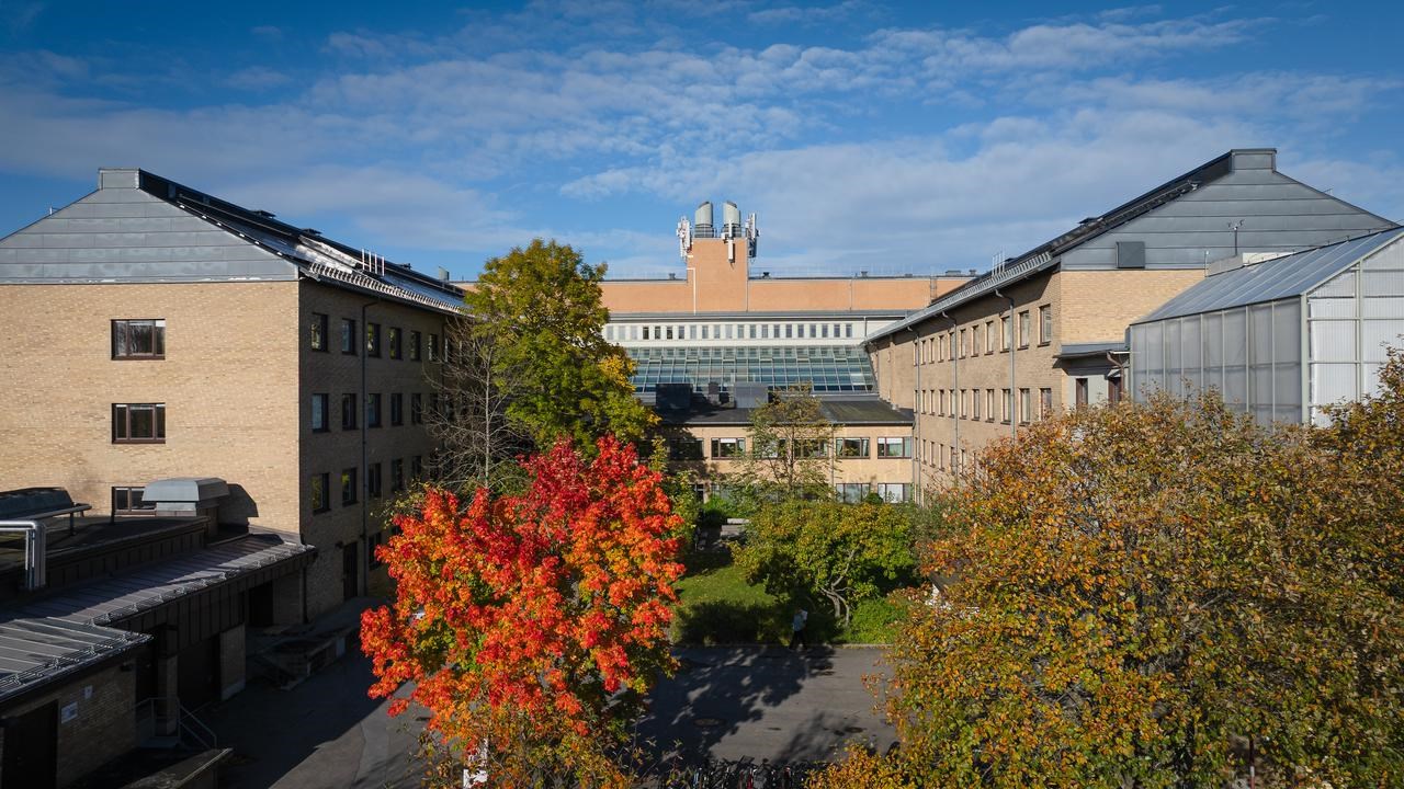 Campus i höstfärger, drönarstillbild