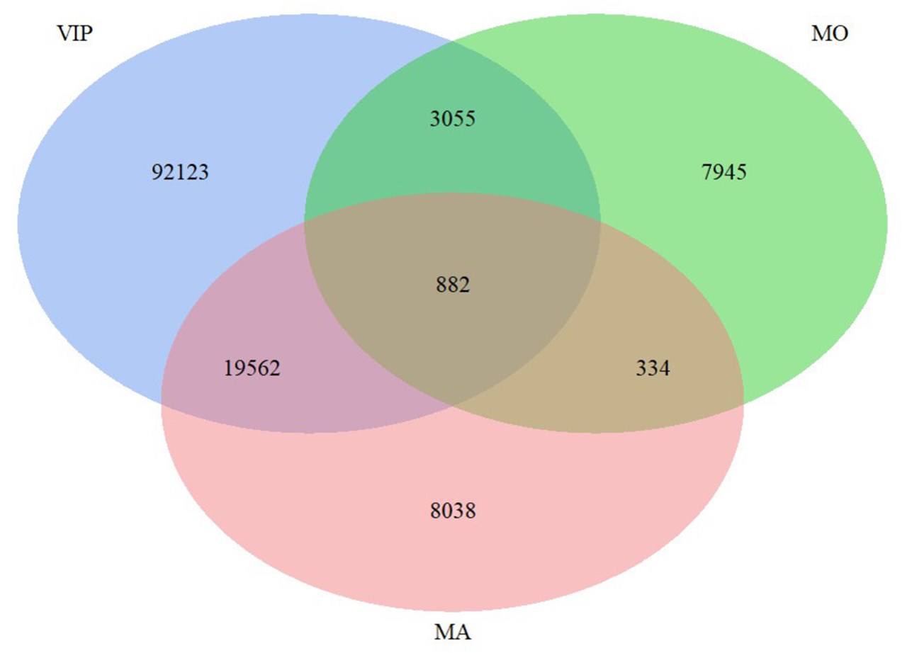 Överlapp för individer mellan de tre kohorterna i NSHDS.