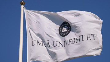 flaggor vid universitetsledningshuset