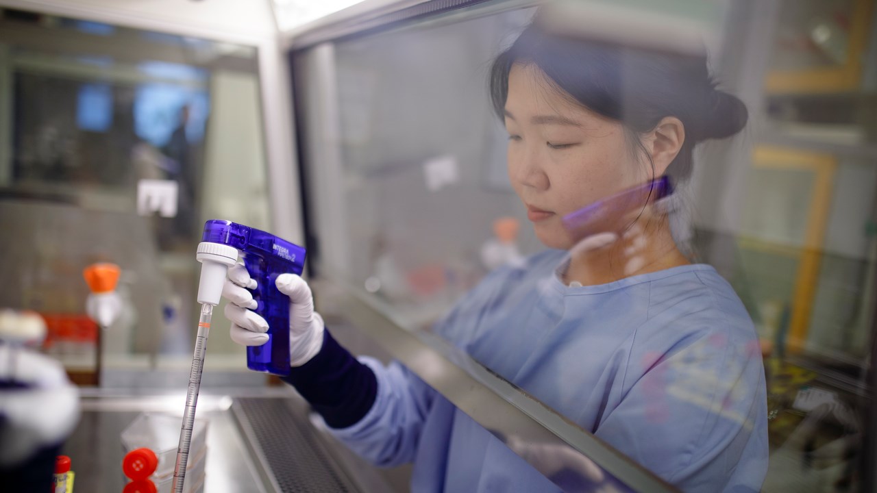 Hayoung Lee sitter vid dragskåpet på cellodlingslabbet och pipetterar cellodlingsmedium ur en flaska.