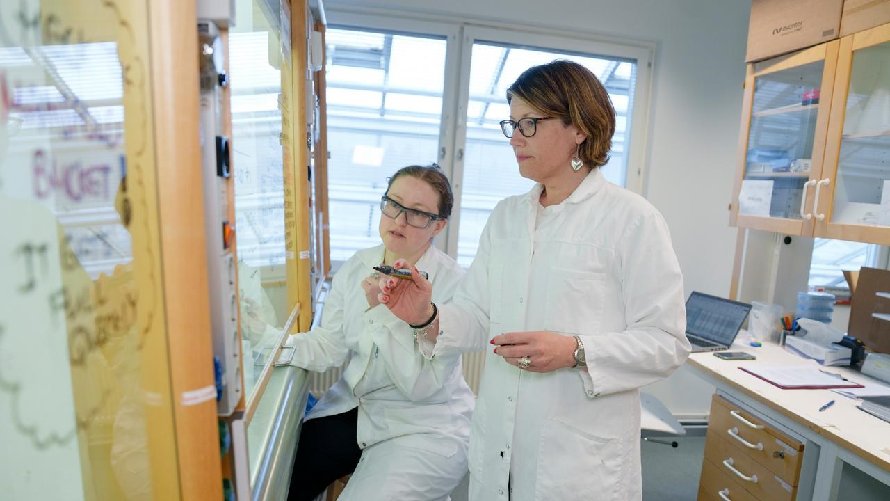 Stina JanssonProfessor vid Kemiska institutionenAnknuten som universitetslektor till Universitetspedagogik och l&auml;randest&ouml;d (UPL)