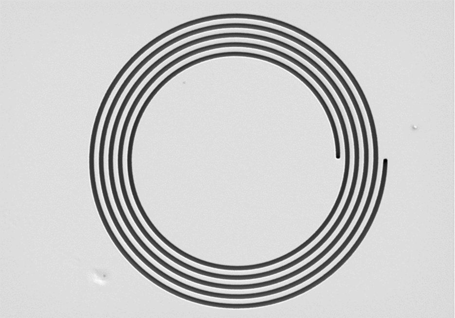 A black and white spiral