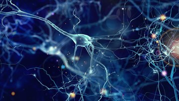 TRC Neurodegenerativa sjukdomar