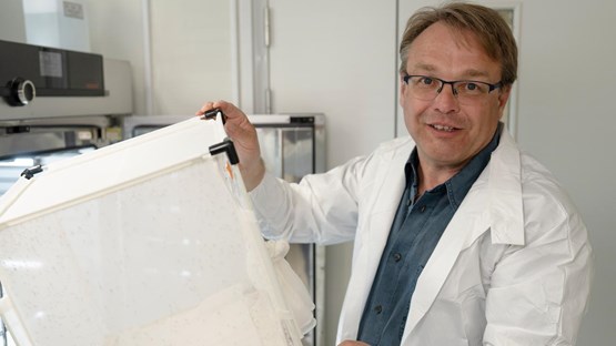 Oliver BillkerProfessor vid Institutionen för molekylärbiologiEnhet: Grupp Oliver BillkerAnknuten som forskare till Molekylär Infektionsmedicin, Sverige (MIMS)Roll: Föreståndare