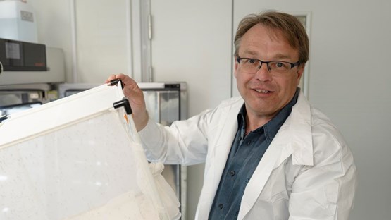 Oliver BillkerProfessor vid Institutionen för molekylärbiologiEnhet: Grupp Oliver BillkerAnknuten som forskare till Molekylär Infektionsmedicin, Sverige (MIMS)Roll: Föreståndare