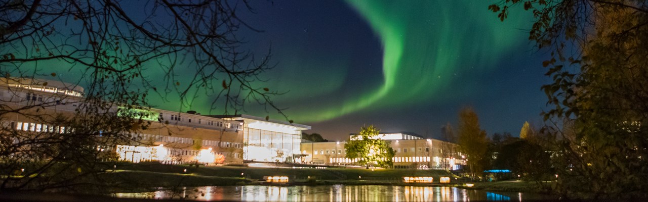 Northern lights across campus.
