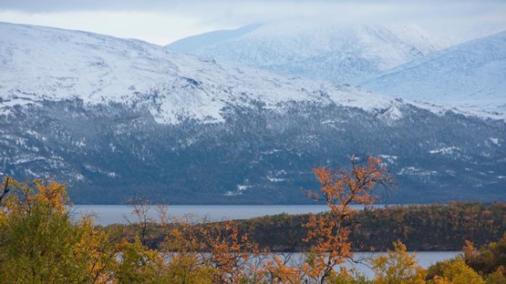 A view of the lake Torneträsk and surroundings.