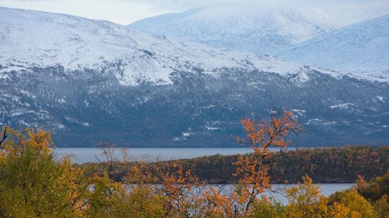 A view of the lake Torneträsk and surroundings.