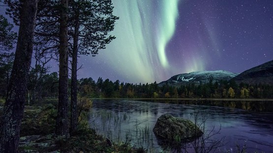 TAIGA är ett centrum i norra Sverige. Bilden visar sjö och skog upplyst av norrsken på natthimmel.