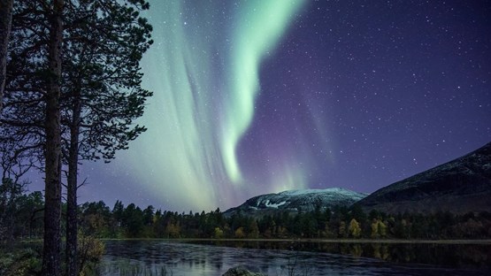 TAIGA är ett centrum i norra Sverige. Bilden visar sjö och skog upplyst av norrsken på natthimmel.