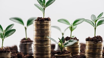 Plants growing from coins