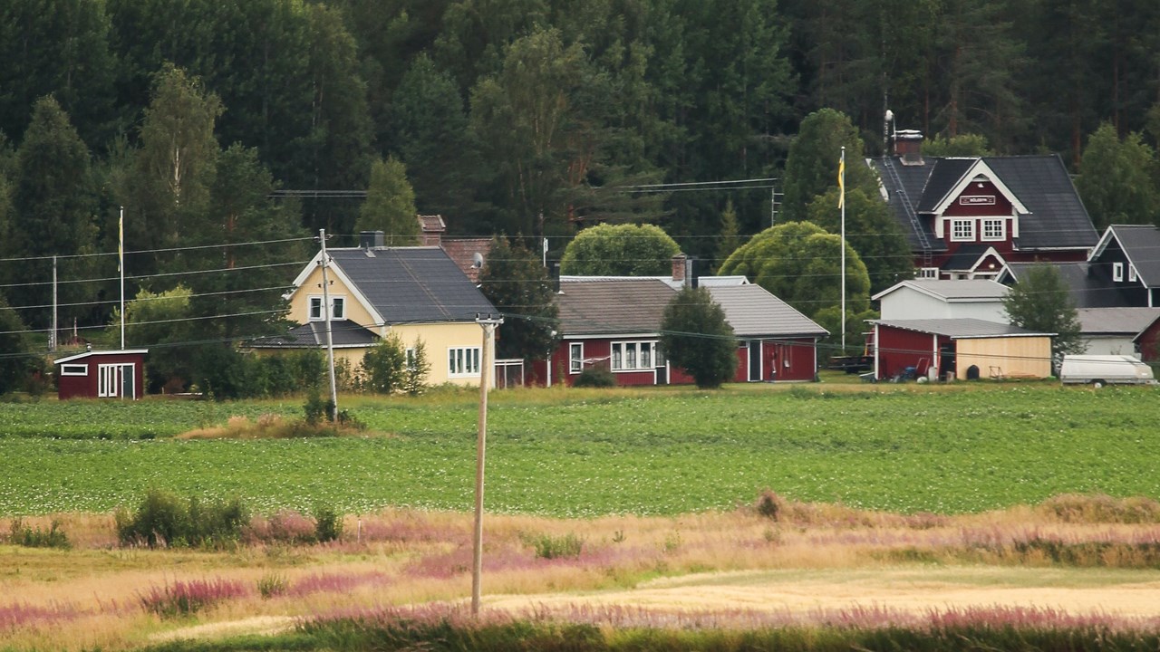 Ängar med hus i bakgrunden