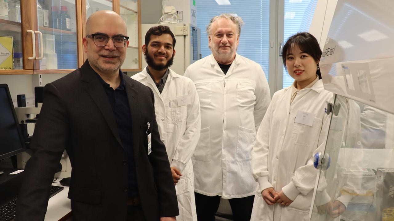 arhan Shah (gruppledare), Abdullah Azmi (gästforskare från King’s College London), Roger Widmark (teknisk specialist) och Yu-Cheng Qian (postdoktor).