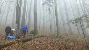Bild på skog och personer som rör sig inåt skogen