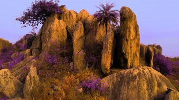 AI and the Paradox of Agency