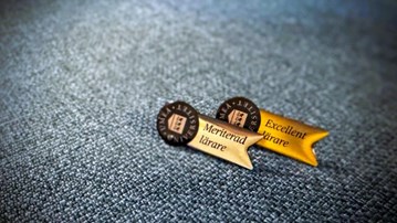 pins pedagogisk meritering blå bakgrund