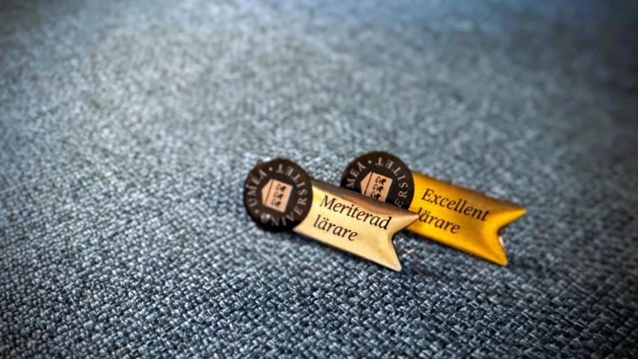 pins pedagogisk meritering bl&aring; bakgrund