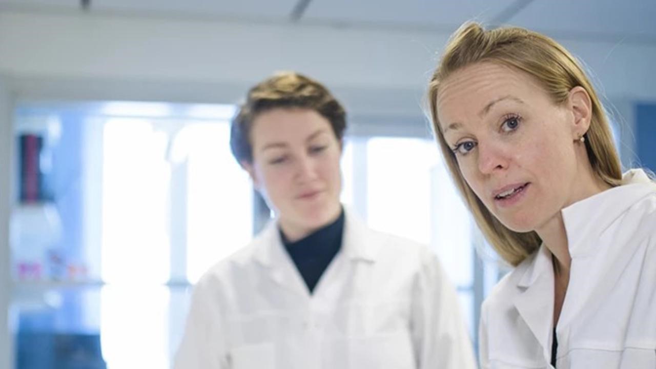 Anna &Ouml;verby Wernstedt