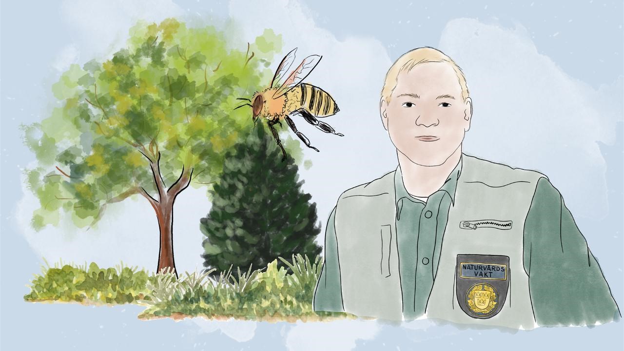 Illustration f&ouml;r kurser av Polisi&auml;rt arbete f&ouml;r naturv&aring;rdsvakter
