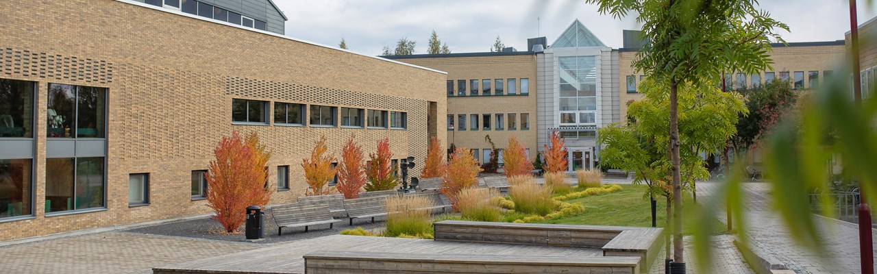Humanisthuset och Beteendevetarhuset på hösten.