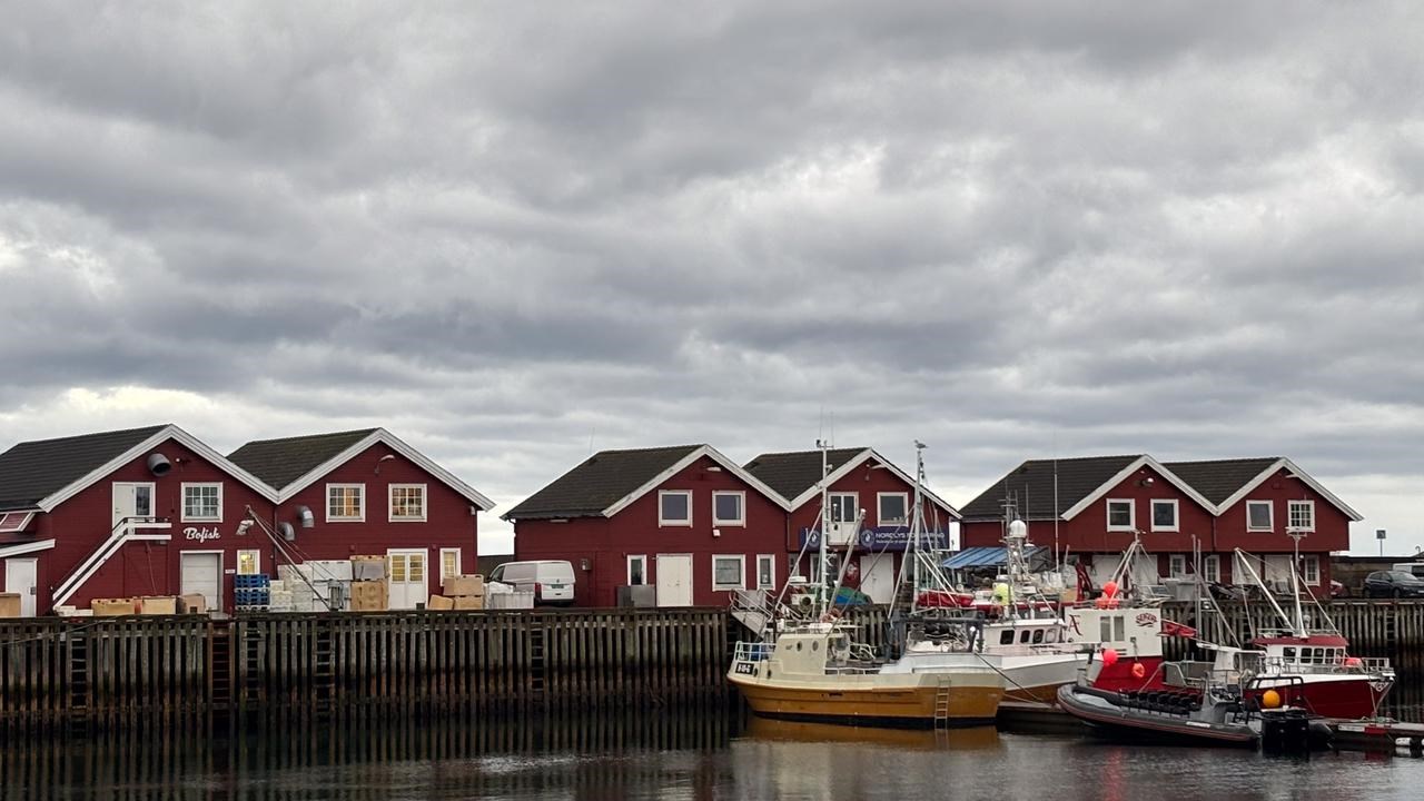 Bod&oslash;