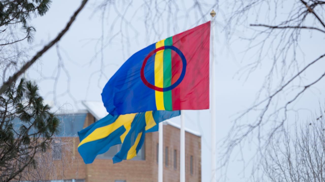 Den samiska flaggan vajar bredvid tv&aring; svenska p&aring; flaggst&auml;ngerna p&aring; campus Ume&aring;.