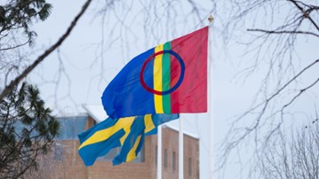 Den samiska flaggan vajar bredvid två svenska på flaggstängerna på campus Umeå.
