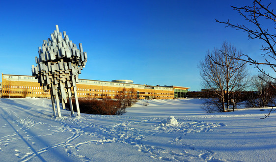 Vintersol över Campus Umeå