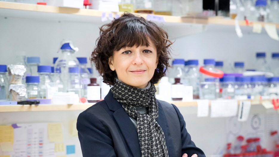 Bild på Emmanuelle Charpentier