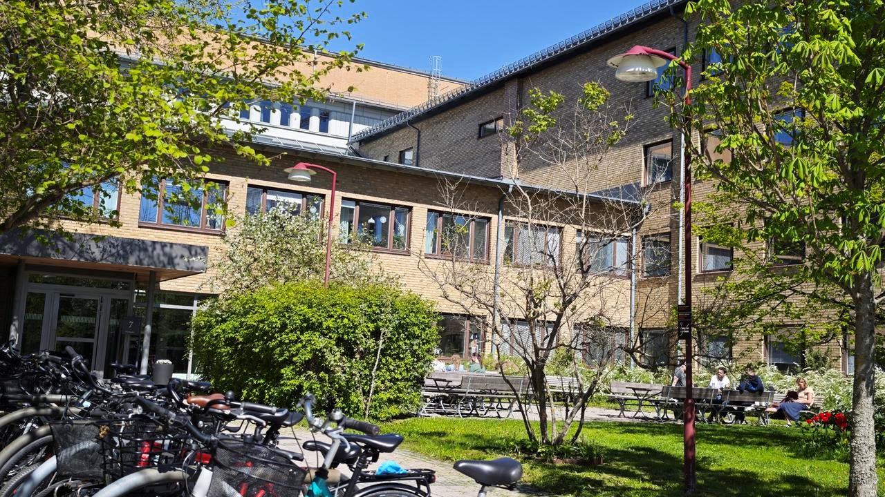 A row of bicycles parked in front of a building.