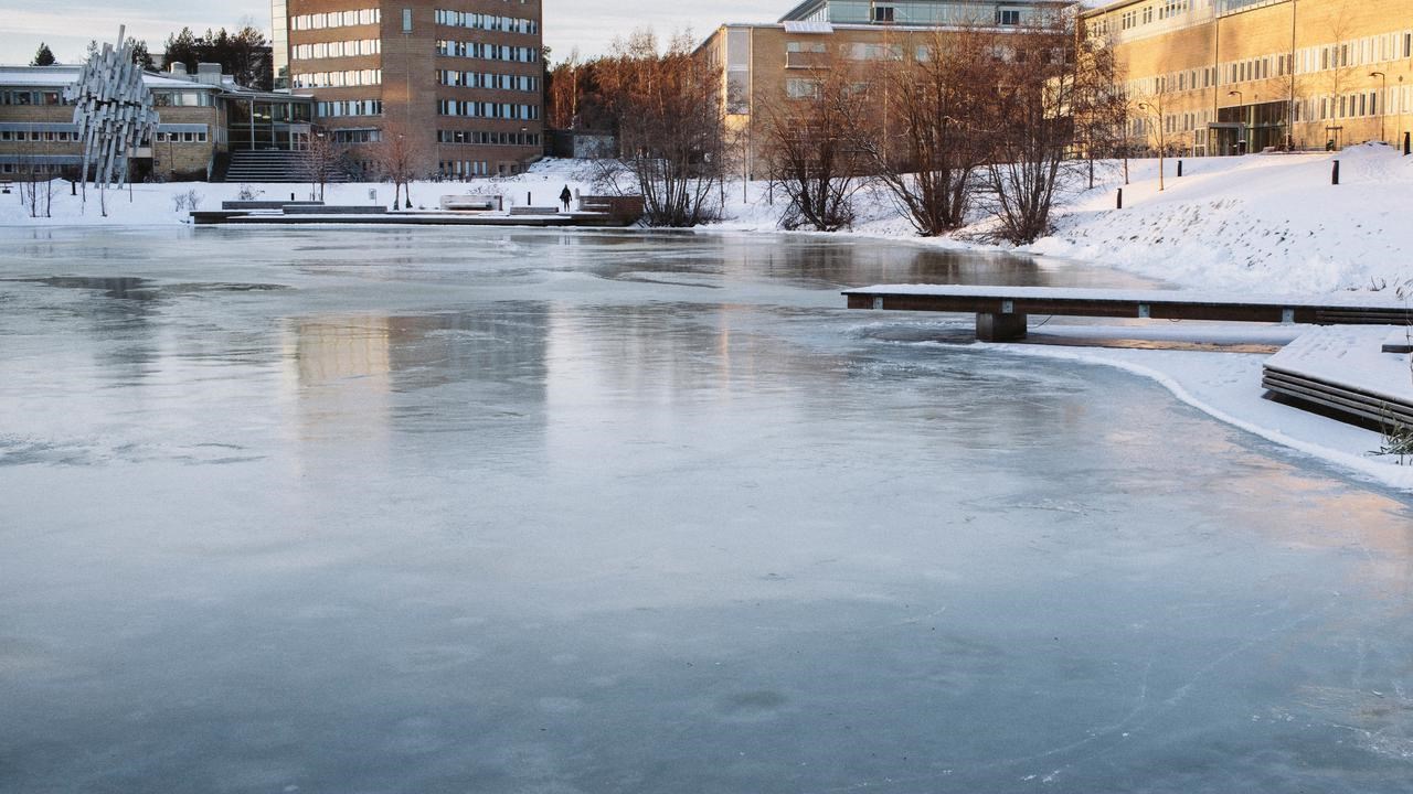Bild p&aring; dammen vinter