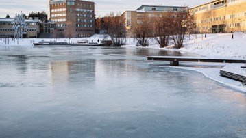Bild på dammen vinter