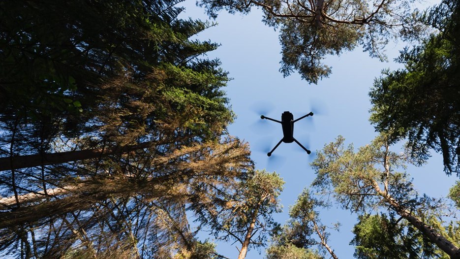 Drönare flyger mellan träd. 
